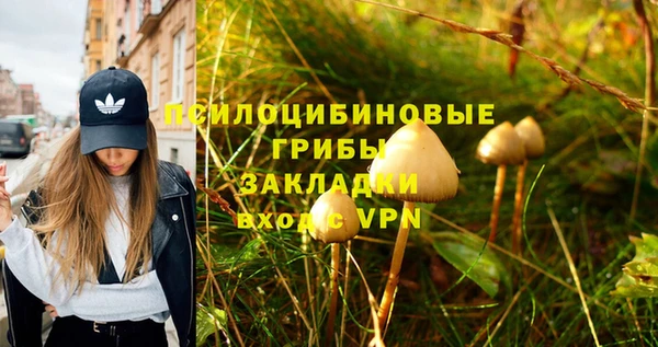 каннабис Абаза
