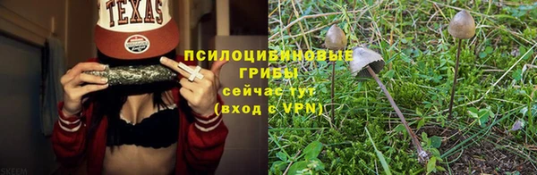 спайс Кукмор
