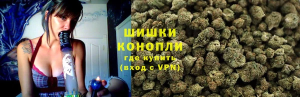 индика Аркадак