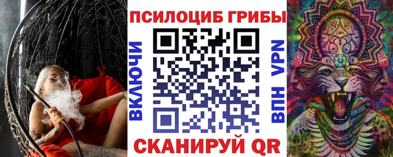 продажа наркотиков  Хабаровск  Псилоцибиновые грибы GOLDEN TEACHER 